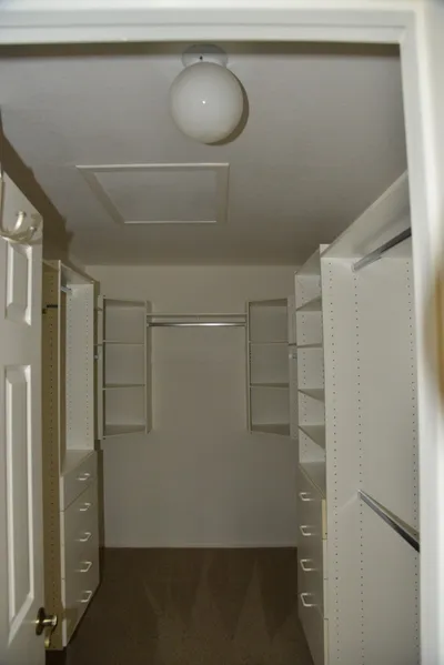 DSC_7353 (Large).JPG